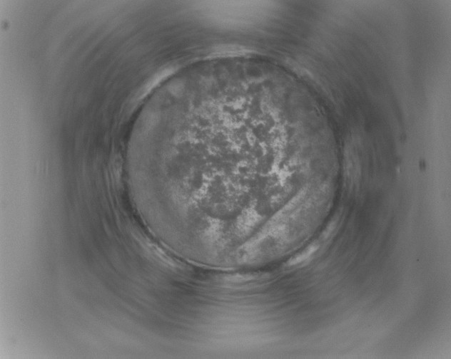 X0000071961401200607282021