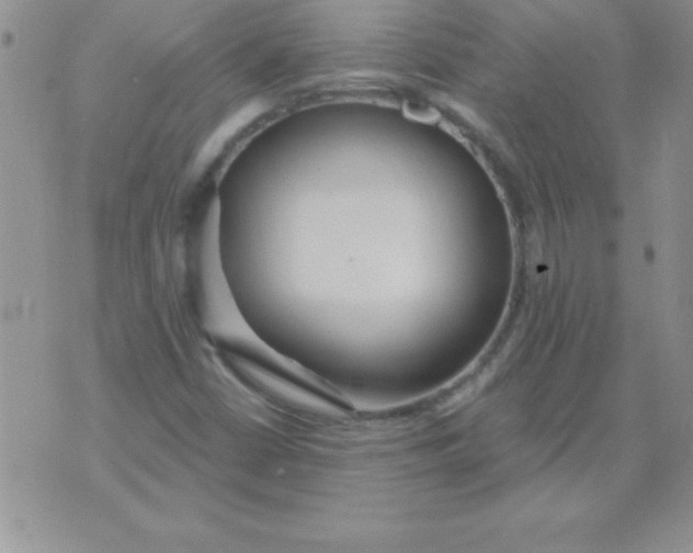 X0000071961402200607282022