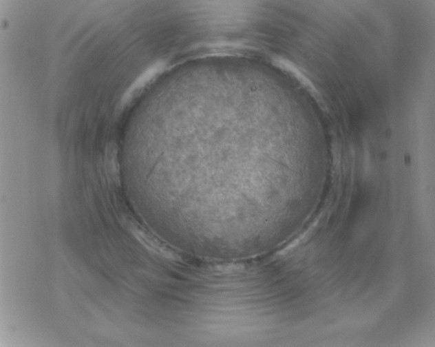 X0000071961403200607282022