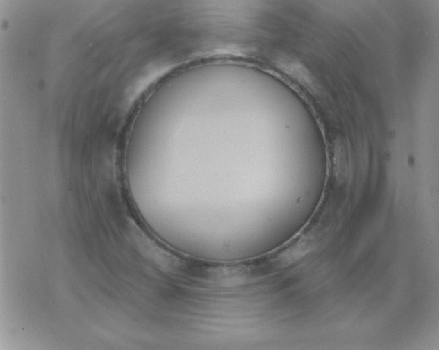 X0000071961404200607282022