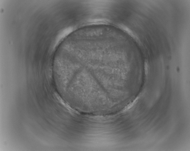 X0000071961405200607282022