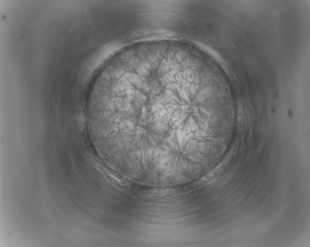 X0000071961407200607282022