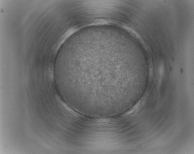 X0000071961409200607282022