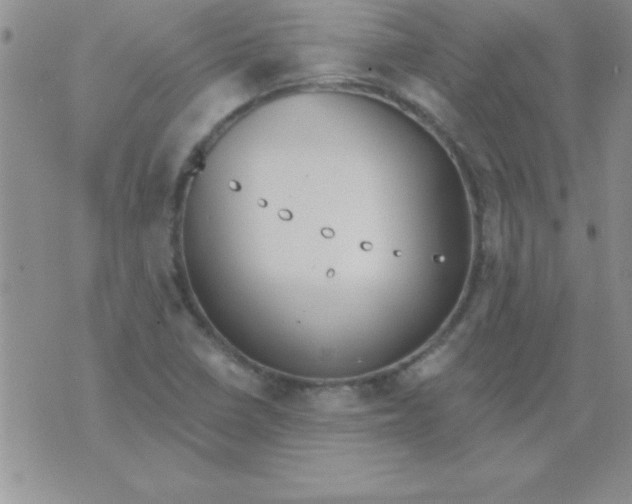 X0000071961410200607282022