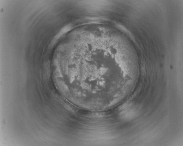 X0000071961411200607282022