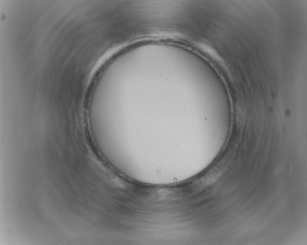 X0000071961412200607282022