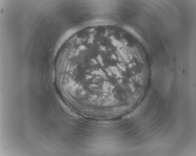 X0000071961413200607282022