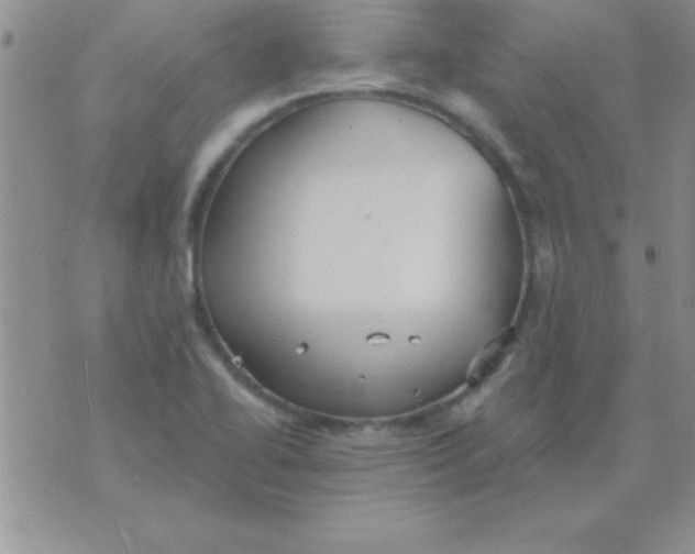 X0000071961414200607282022