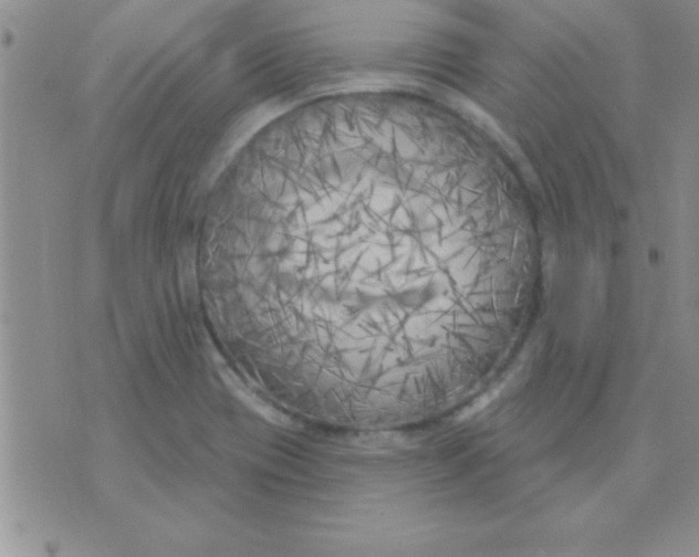 X0000071961417200607282022