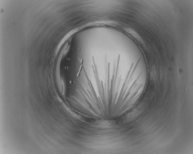 X0000071961420200607282022