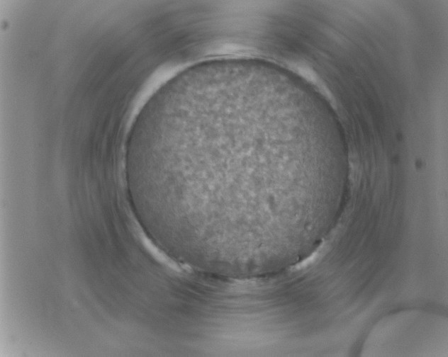 X0000071961421200607282022