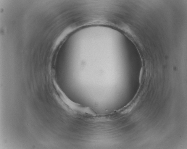 X0000071961422200607282022