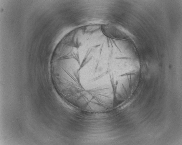 X0000071961423200607282022