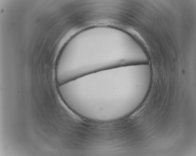 X0000071961424200607282022