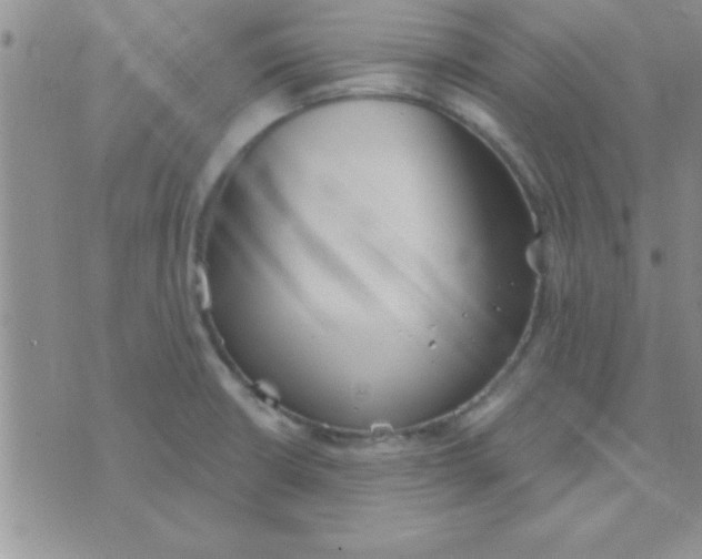 X0000071961426200607282022