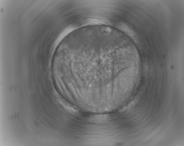 X0000071961427200607282022