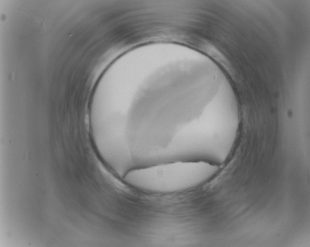 X0000071961428200607282022