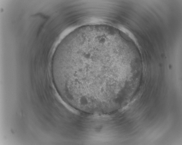 X0000071961429200607282022