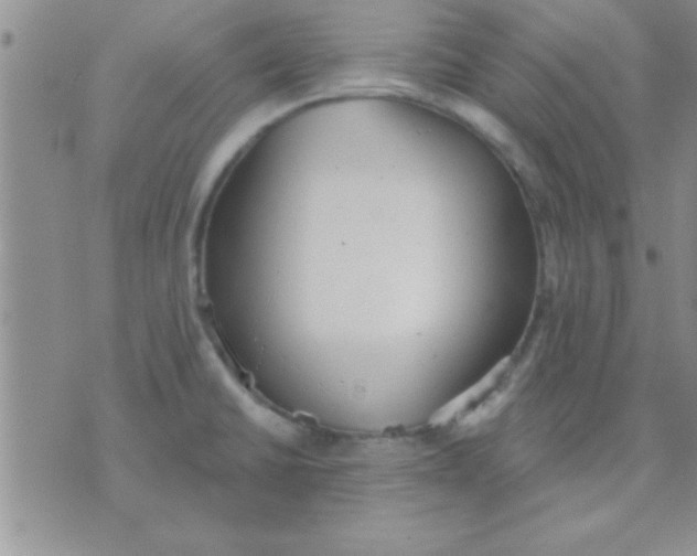 X0000071961430200607282022