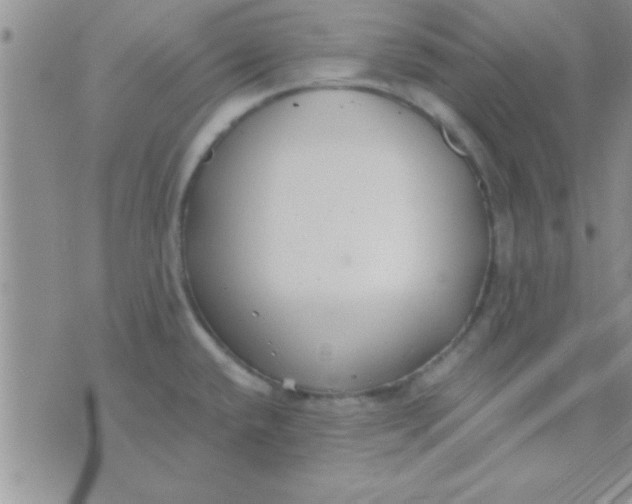 X0000071961432200607282022