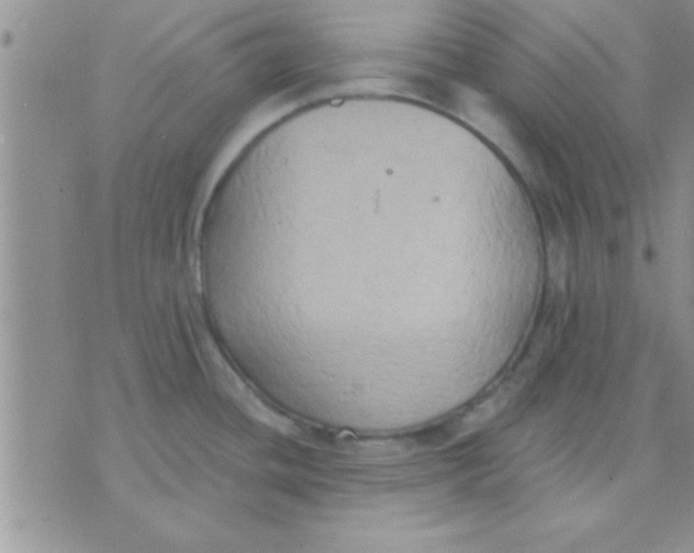 X0000071961436200607282022