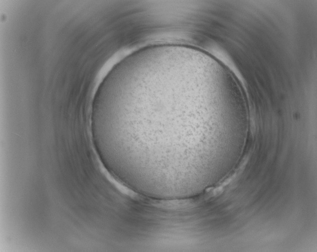 X0000071961437200607282022