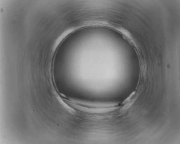 X0000071961438200607282022