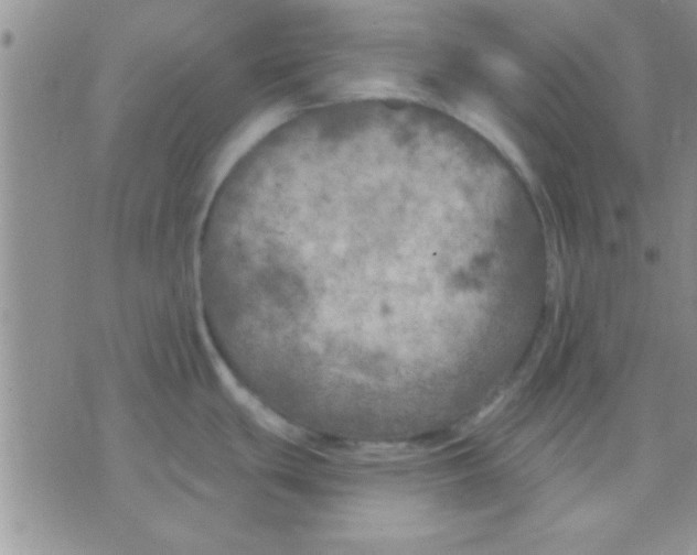 X0000071961439200607282022