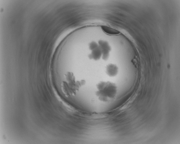 X0000071961440200607282022