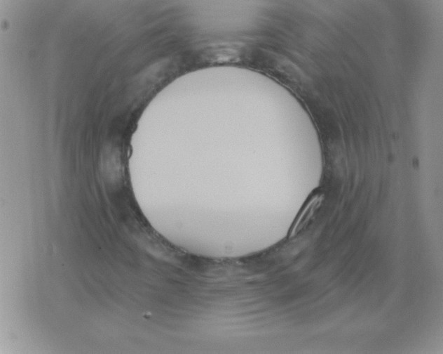 X0000071961442200607282021