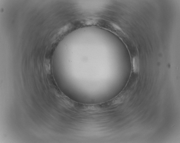 X0000071961443200607282021