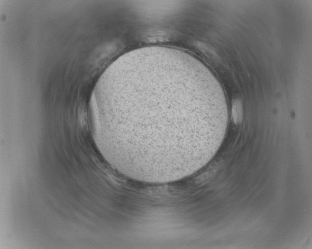 X0000071961444200607282021