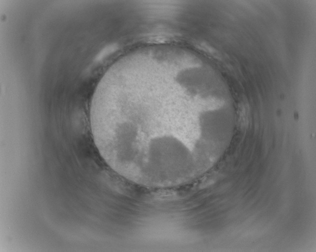 X0000071961446200607282021