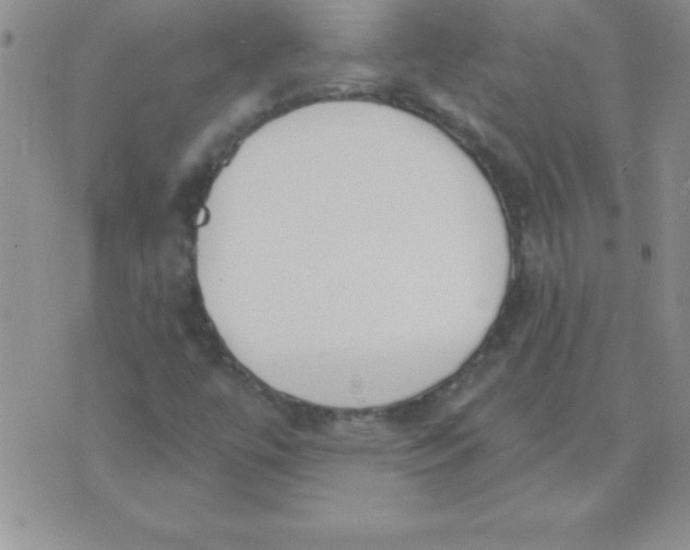 X0000071961447200607282021