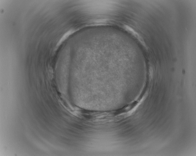 X0000071961449200607282021