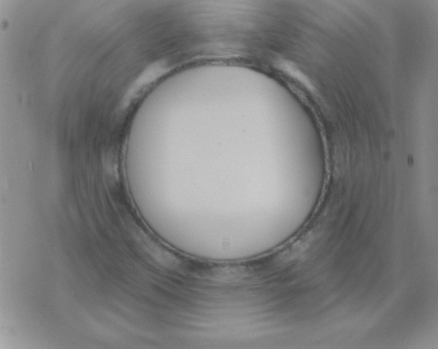 X0000071961451200607282021