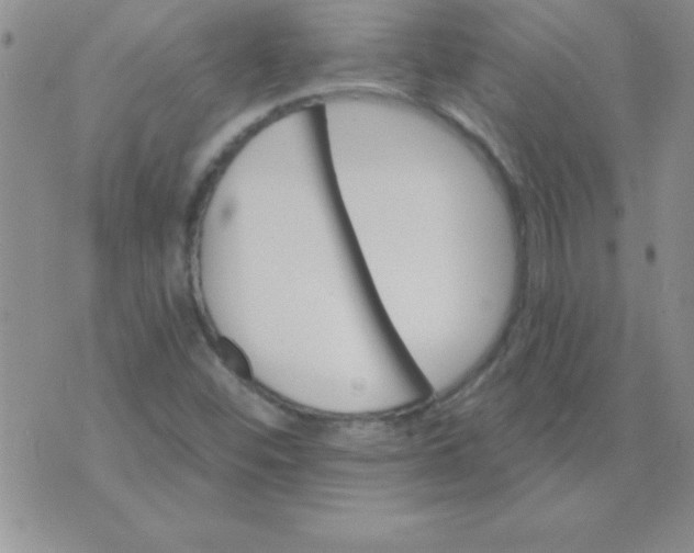 X0000071961452200607282021