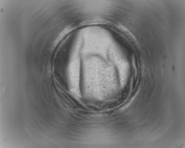 X0000071961457200607282021