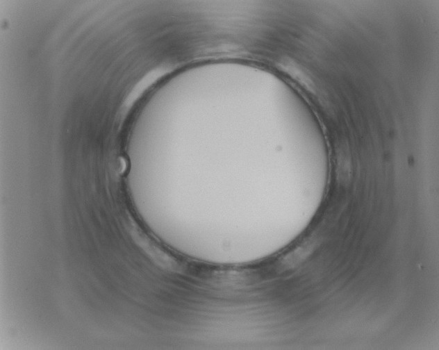 X0000071961458200607282021