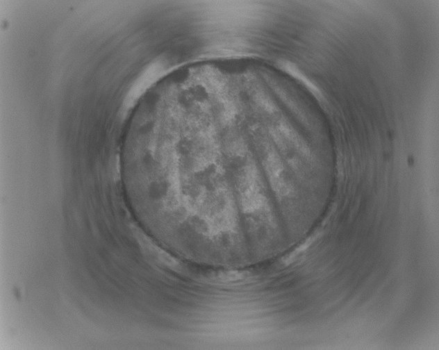 X0000071961459200607282021