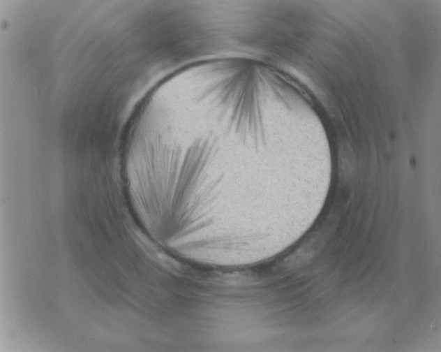 X0000071961460200607282021