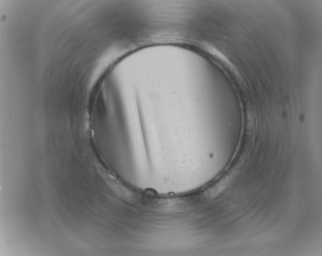 X0000071961461200607282021