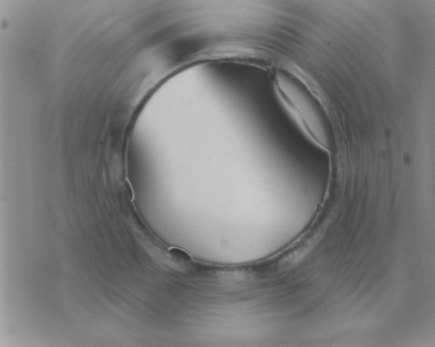 X0000071961465200607282021