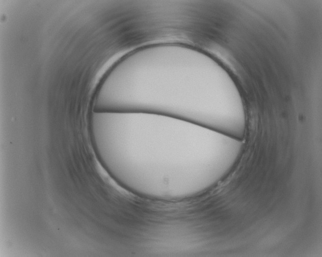 X0000071961468200607282021