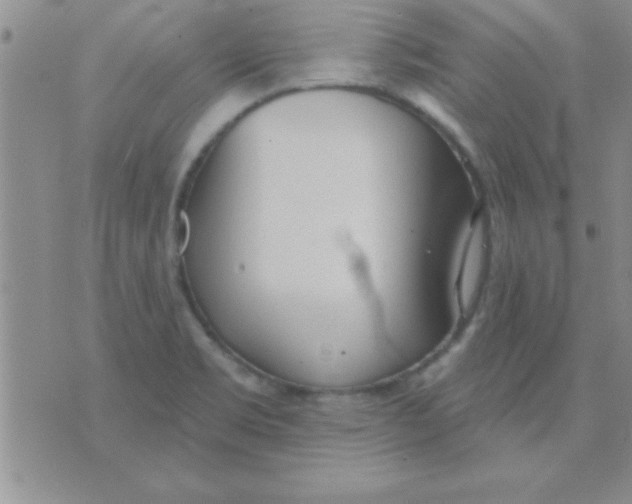 X0000071961469200607282021