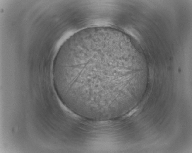 X0000071961471200607282021