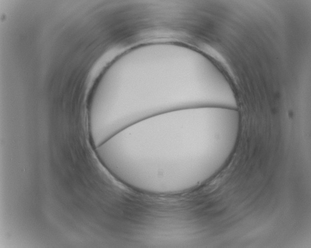 X0000071961472200607282021