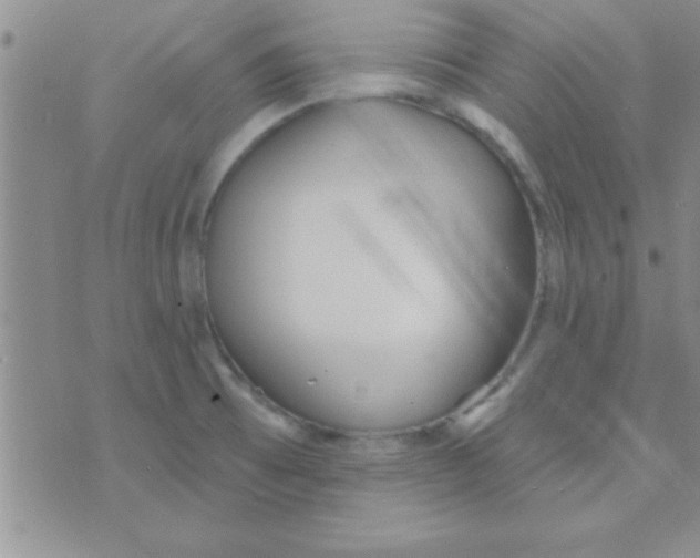 X0000071961473200607282021