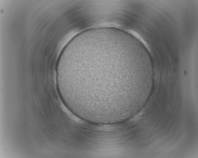 X0000071961476200607282021