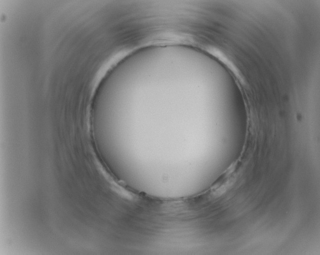 X0000071961477200607282021